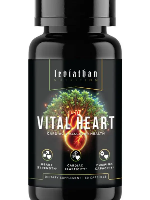 Leviathan Vital Heart: Cardiac & Vascular Health