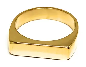 Gold Plated Classic Rectangle Signet Ring Anillo
