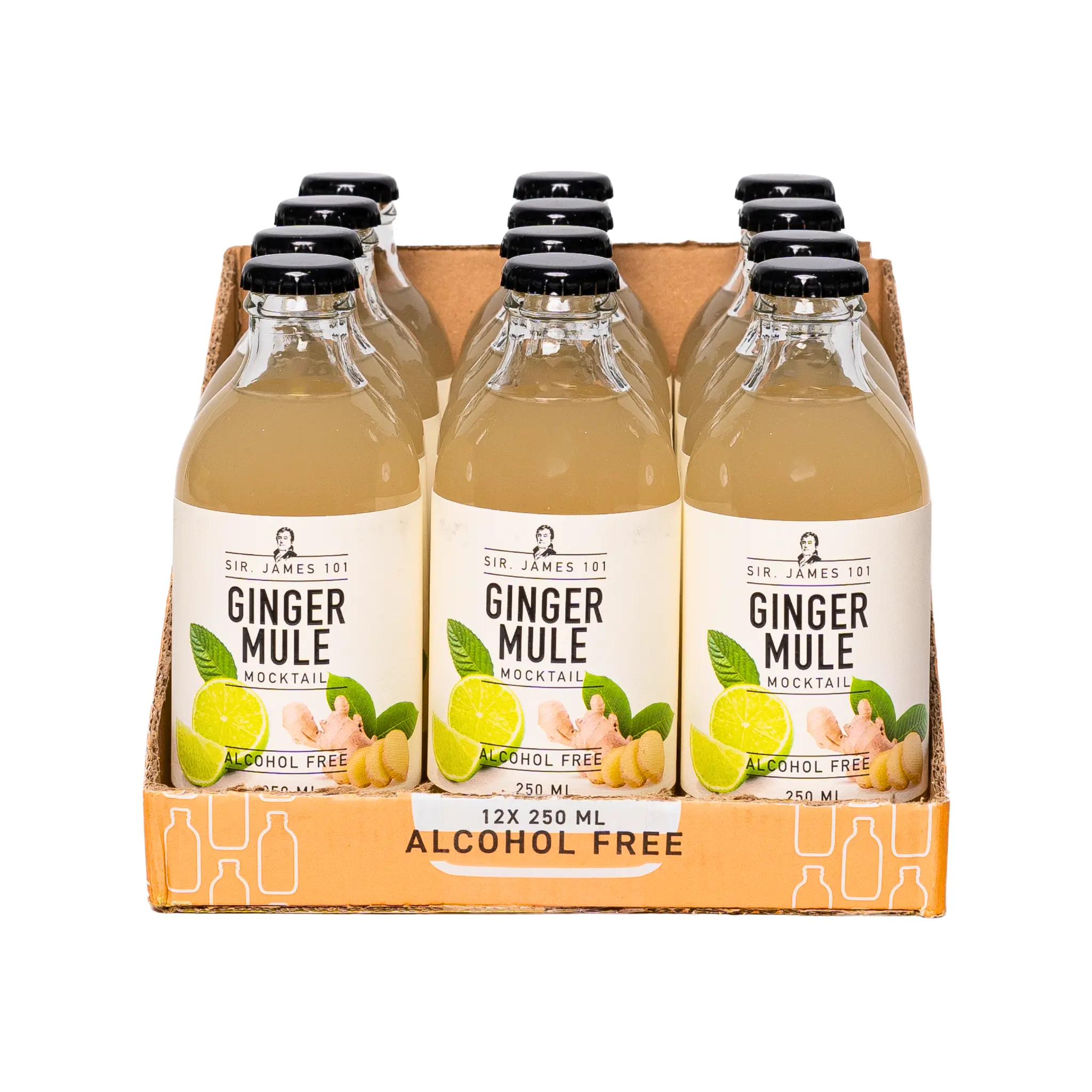 Sir. James 101 Alcohol-Free Ginger Mule | 12 Bottle Party Pack
