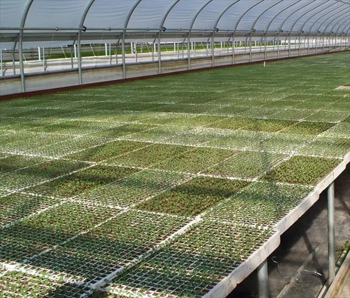 Riverstone Industries RSI-ST242 Commercial Grade Polystyrene Hydroponic Seed Trays - 2-Pack, 242 Plugs, Lightweight, 128 Pyramid Shaped Cells, 30 x 4 x 14 in, Floating Design, Hydration, Growing Plants From Scratch, Pyramid Cells