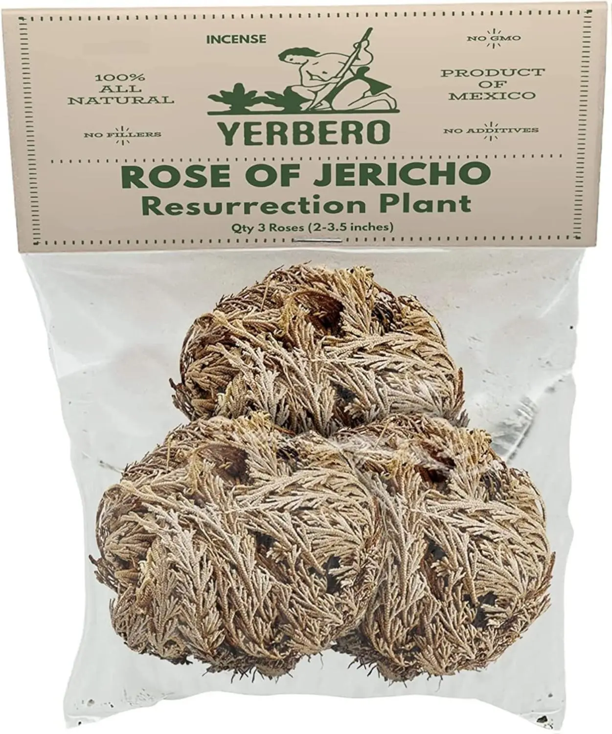 Yerbero - 3 Piece Bundle Rose of Jericho Dried Flower | Selaginella Lepidophylla | Resurrection Plant | 3 Medium Size Roses | Abundance, Prosperity, Sacred Doradilla Plant