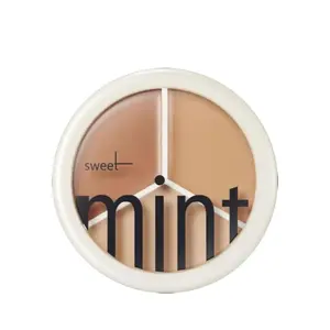 Three color concealer Long-lasting free brush