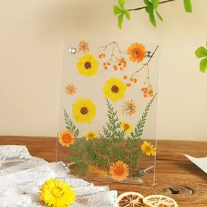 Creative DIY Dried Flower Pressing Specimen Photo Frame 6x7 Inch Acrylic Frame Nordic Minimalist Wall Tabletop Decorative Display for Home Office Decoration