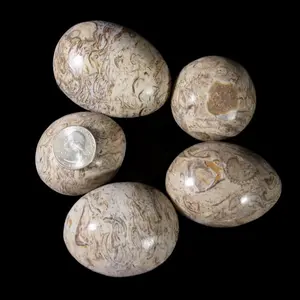 Onyx Polished Eggs (One Egg) Natural Crystal