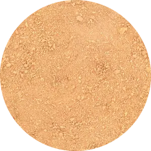 Freeze Dried Apricot Powder