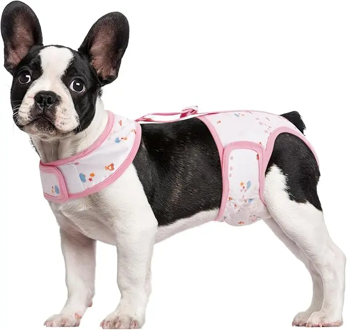 Kuoser Dog Diapers Female with Suspenders, Escape-Proof Doggie Diaper That Stay On, Washable Dog Diapers for Heat, Incontinence & Puppy Training,Reusable Puppy Diaper Female Small Medium Large Dogs