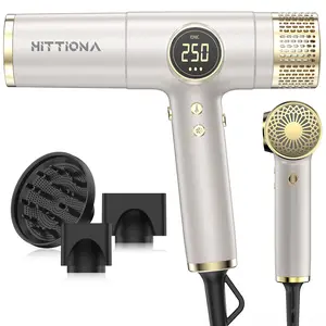 Dual Voltage Travel Hair Dryer with Magnetic Diffuser - 2000W High-Speed Ionic Hair Dryers Gift for Women, Fast Drying, Low Noise, Lightweight, No Heat Damage, European Travel 110V-240V, Gold