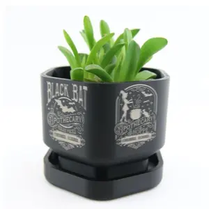 Exclusive Halloween Engraved Plant Pot