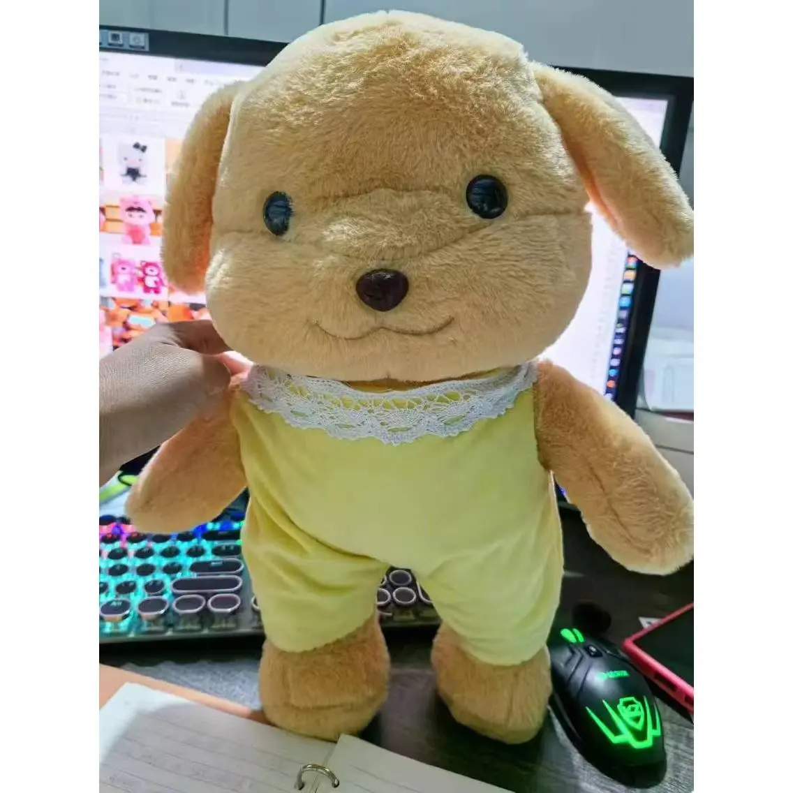 Dressed-up dog 35cm left and right