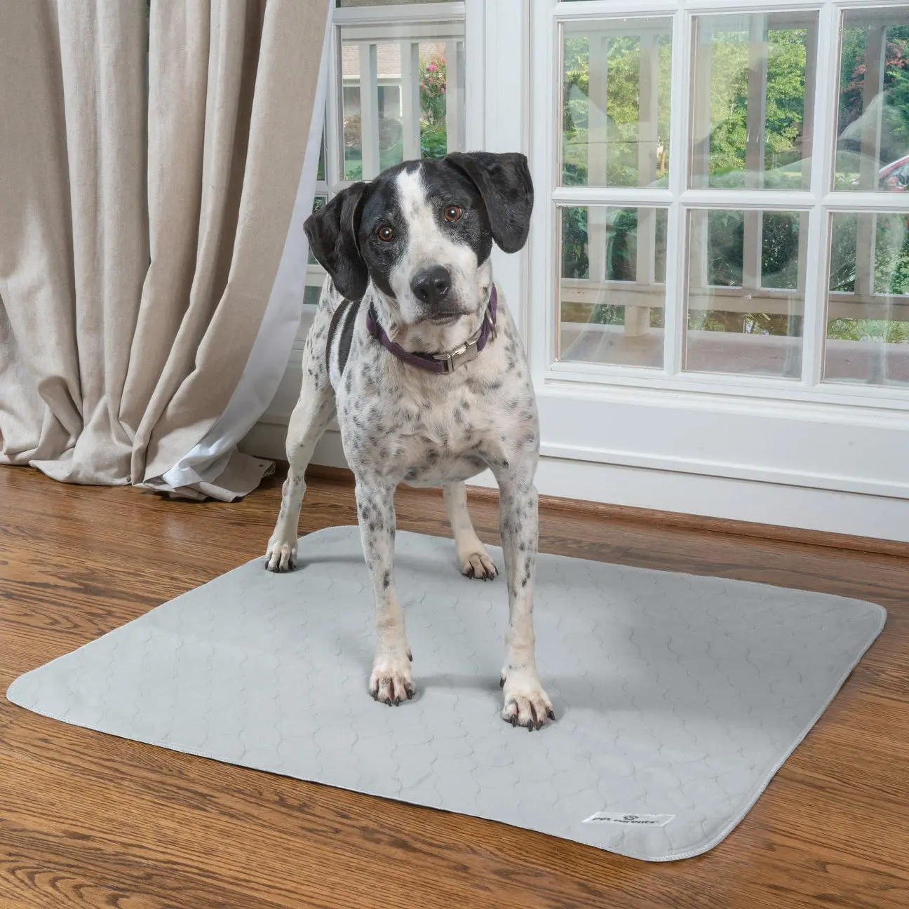 Pawtect® Pads (2pack) Pawtect® Pads (2pack)