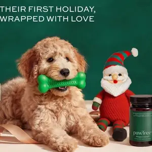 PawTree Puppy's First Holiday Chewbone & Bungee - Festive Dog Toy with Love-Wrapped Design for Holiday Fun