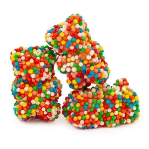 Crunchy Gummy Bears Gummy Candy | 16 oz (1 LB) Bag of Gummies | Soft & Chewy | Bulk Candy