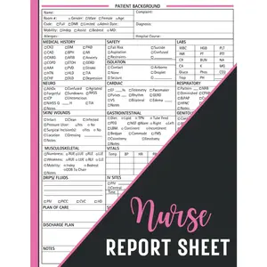 Nurse Report Sheet Notebook Day or Night Shift: Large-Print Patient Care Documentation Record Tracker