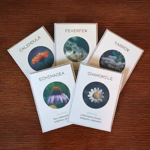 Medicinal Herb Seed Set