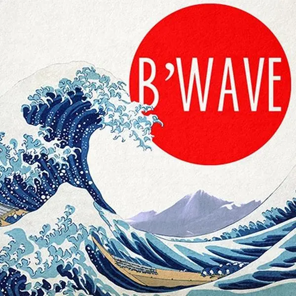 Max Maven B'Wave Card Trick