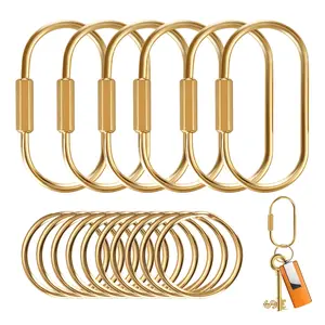 Gold Brass Key Rings, 10 Pack Keychain with 10 Flat Rings Carabiner Clip, Screw Lock Keys Organizer, Purse Bag Accessories Charms Holder for Handbags, Doll, Car Keys - Medium Size