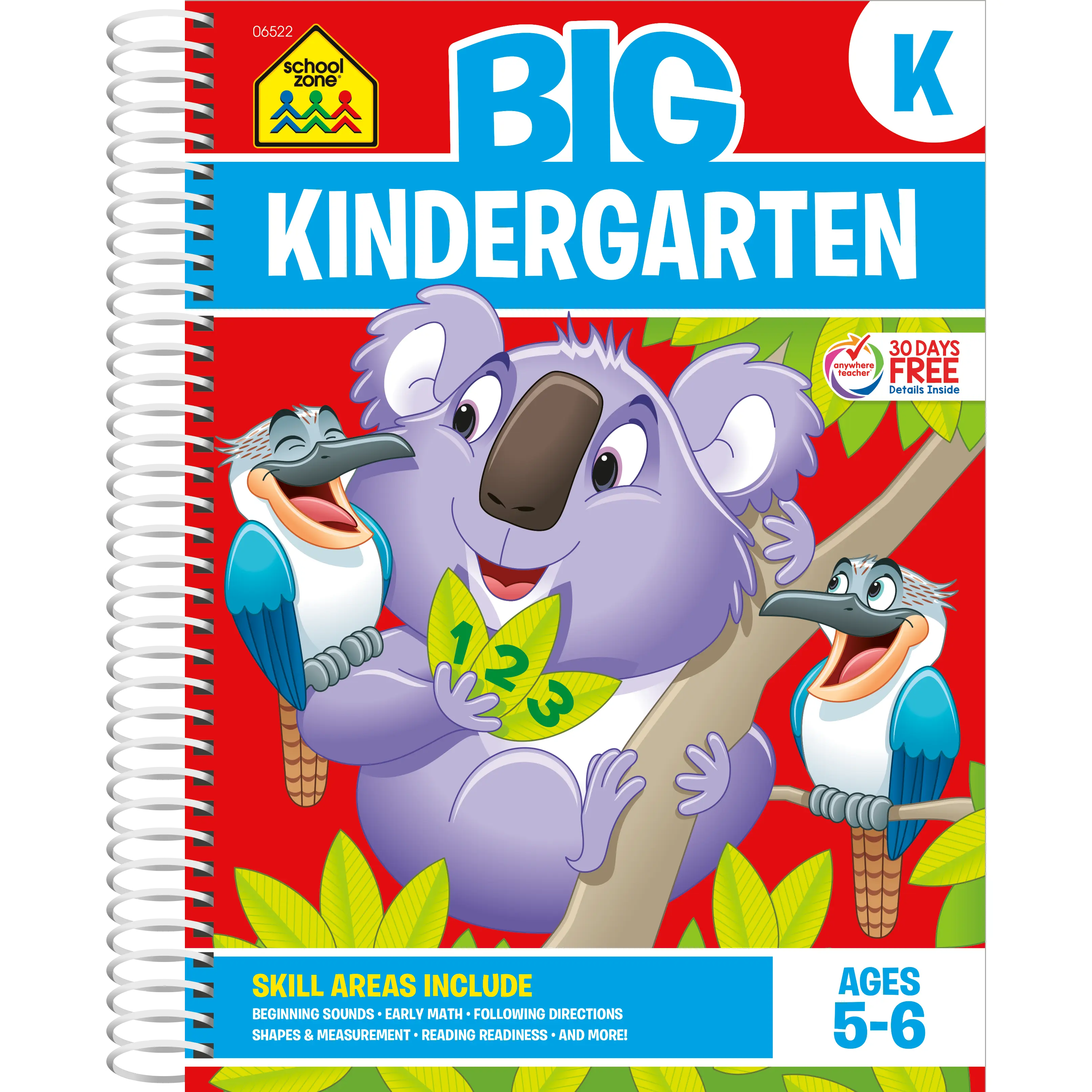 Big Kindergarten Workbook (Spiral Bound)