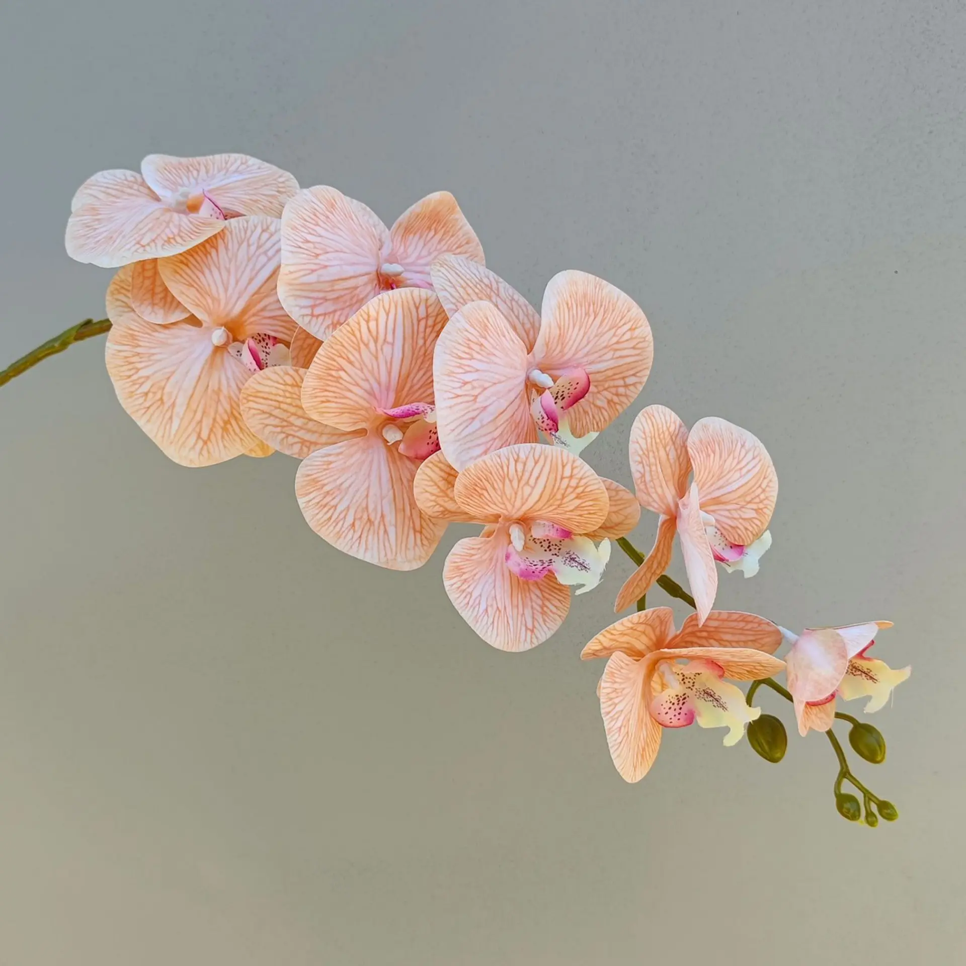 9 Heads Artificial Phalaenopsis Orchid Stems, Real Touch Faux Butterfly Orchid Flowers (10pcs Per Color Pack), DIY Floral Arrangement for Wedding Birthday Baby Shower Party Table Centerpiece Decor