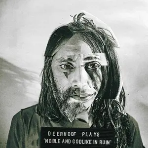 Noble & Godlike In Ruin - Green - Deerhoof - Record Album, Vinyl LP