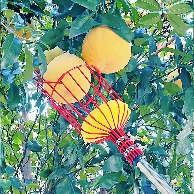 Metal High-Altitude Fruit Picker Claw Tool for Peaches Pears and Oranges, No Power Needed Garden Tool for Easy Harvesting, Garden Supplies