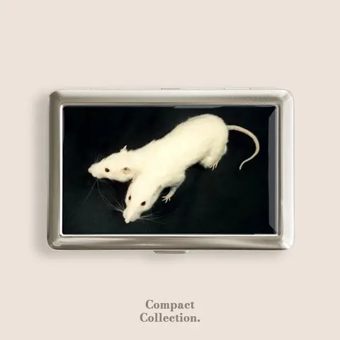 Stainless Steel 2-Headed Rat Cigar Case - Vintage Metal-Arm Cigarette Holder, Compact Adult 100s Dripping-Resistant Storage Box, Wallet-Style Home Organizer, Button-Equipped Business Card Holder (4in L x 2.67in W x 0.67in, Gift for Friends)