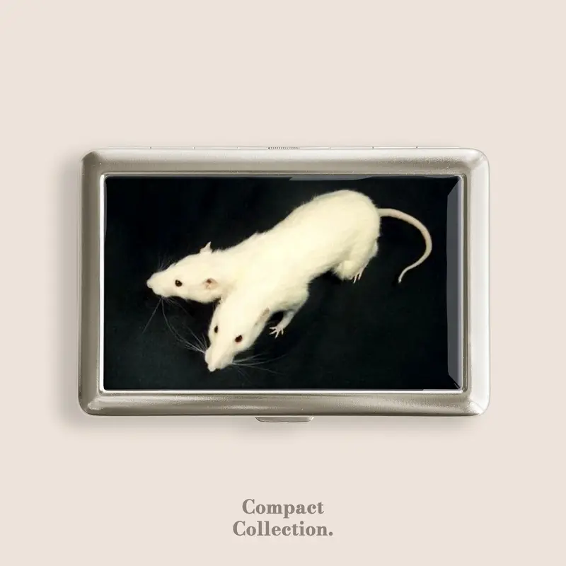 Stainless Steel 2-Headed Rat Cigar Case - Vintage Metal-Arm Cigarette Holder, Compact Adult 100s Dripping-Resistant Storage Box, Wallet-Style Home Organizer, Button-Equipped Business Card Holder (4in L x 2.67in W x 0.67in, Gift for Friends)
