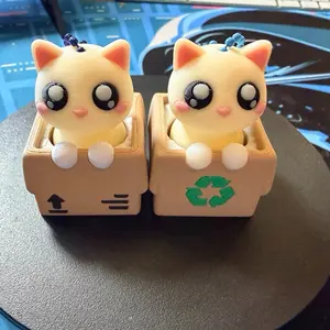 Cat in a Box Fidget Clicker | 3D Printed Kitten Sensory Toy | Cute Desk Buddy ASMR Click Toy | Shipping & Recycle Box Kitty Gift