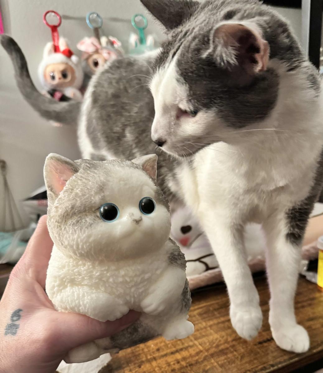 Item: A DIY White Cat