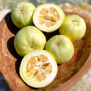 Bai Mibao Asian Melon Seeds – Non-GMO, Sweet & Juicy Oriental Melon, Easy-to-Grow, Suitable for Garden Beds, Containers & Trellises, High-Yield Summer Fruit, Heat Tolerant, Beginner-Friendly, Perfect for Home Gardening & Outdoor Planting