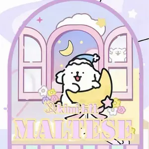 Maltese Puppy Artistic Magnet Maltese Puppy Artistic Magnet