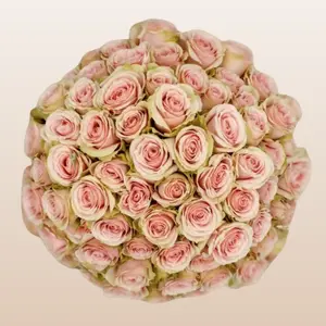 Peach Irishka Spray Roses