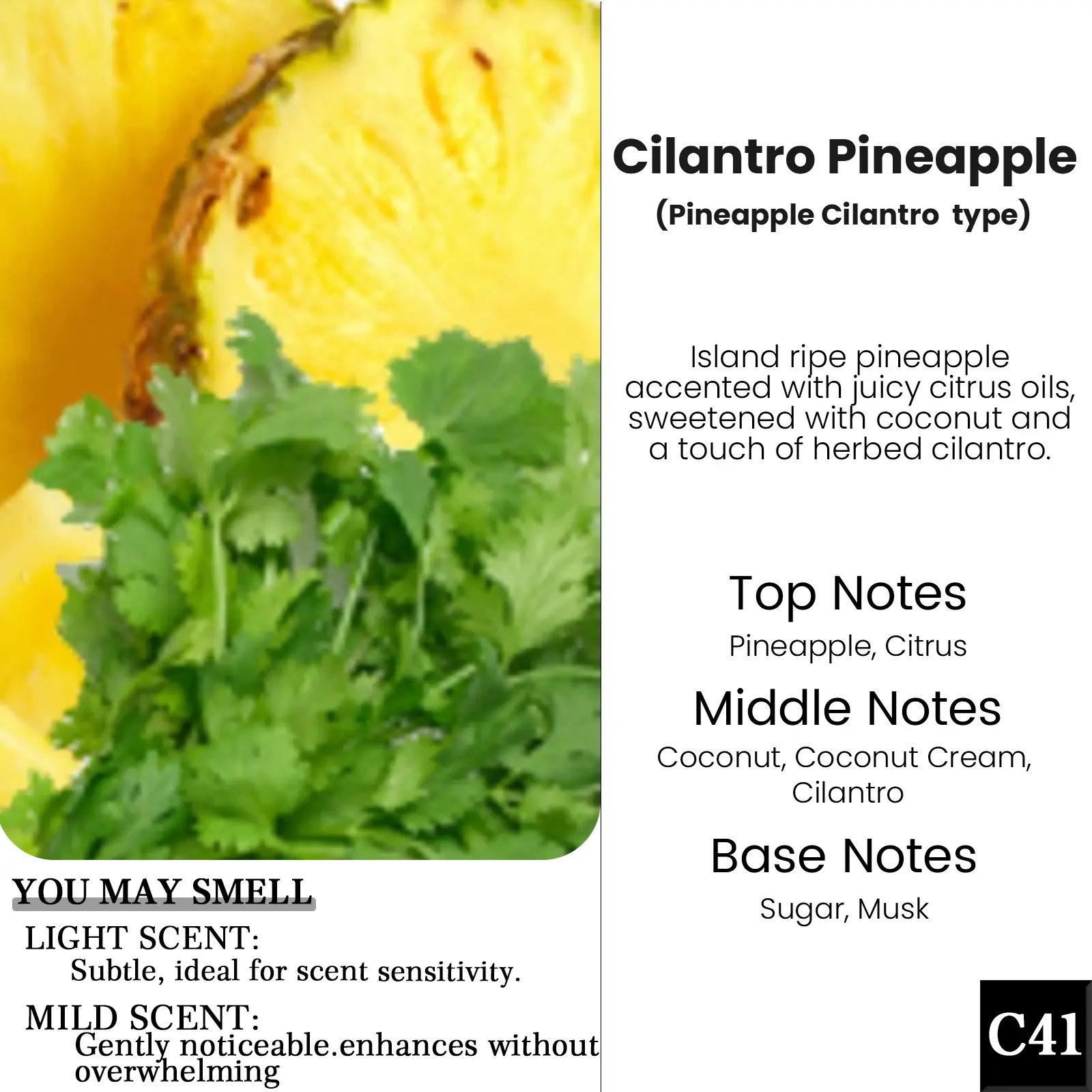 P41-Cilantro Pineapple(Pineapple Cilantro Type)