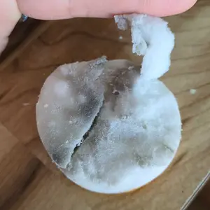 Product Review of SneakERASERS️ Instant Shoe Cleaner: 10 Pack from l**1