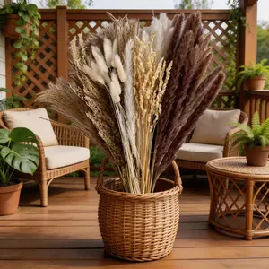 Home Decor Win: Dried Pampas Grass Set