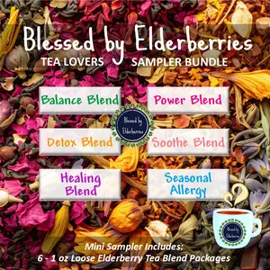 Blessed by Elderberries Tea Lovers Sampler Bundle - 6 Mini Tea Blends for Detox, Healing, Soothing & Seasonal Allergy Relief - 1 oz Each - Herbal Tea Variety Pack