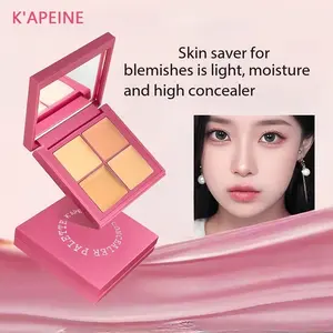 A Color Correcting Concealer Palette, 4 Shades, for Brightening and Defining, Hides Dark Circles and Dark Spots