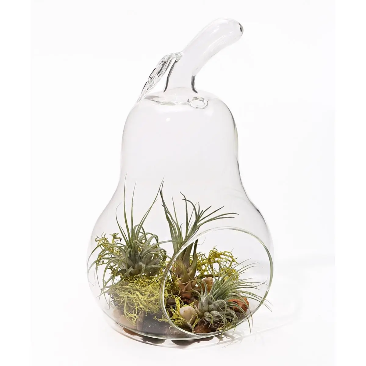 Athenas Garden 8 in. Pear Glass Terrarium Set - Small Terrarium Flower Pots, Easy-Maintain Unique Shape Plant Decor, Natural Color, 2 lbs, Includes Stones & Pebbles for Tranquil Oasis Creation, Decorative Glass Flower Pots