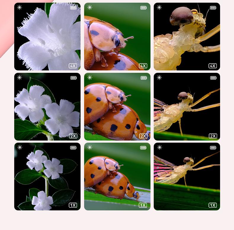 Cat Ear Kids Handheld Microscope, 500X Zoom 2MP HD IPS Screen Portable Digital Microscope with 8 LED, Educational Science Toy for Kids