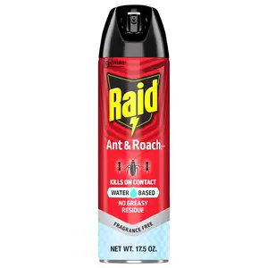 Raid Ant & Roach Aerosol Bug Spray, Water-Based Formula Insecticide with No Greasy Residue, Kills On Contact, 17.5 oz
