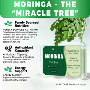 Daily Moringa Nutrition Sticker, Pure Plant-Derived Formula, Stay Active & Balanced, Targeted Nutrient Support, On-The-Go Wellness Essential, 60 Count