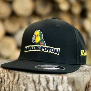 San Luis Potosi Fitted