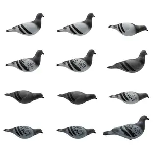 Final Approach Last Pass Rock Pigeon