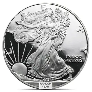 American Silver Eagle Proof Coins 2023 Cameo Perfect Condition 1 Troy Oz .999 Pure Random Year Us Coin