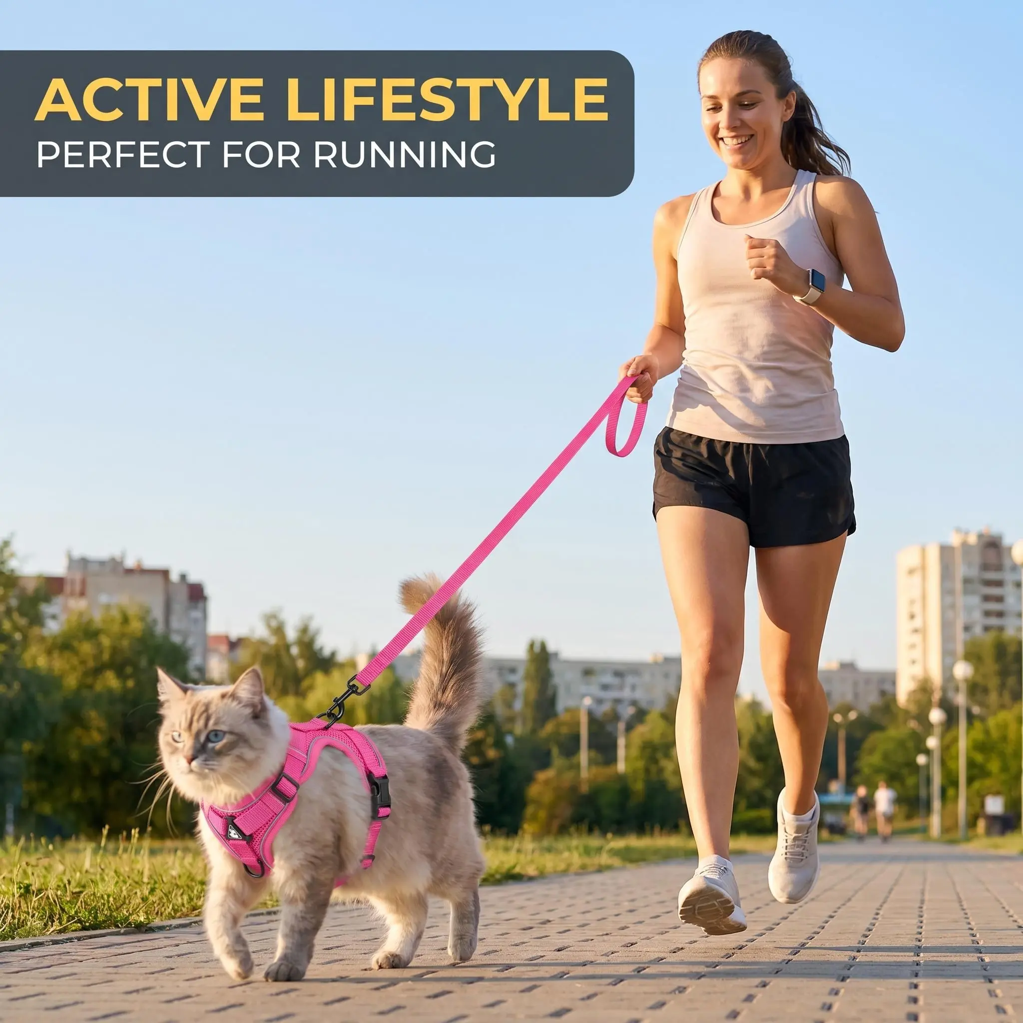 Durable Cat Harness & Leash Set - Breathable Mesh, Adjustable Fit, Escape Proof, Reflective Edges for Night Safety, Daily Walking (Pet Supplies Accessory)