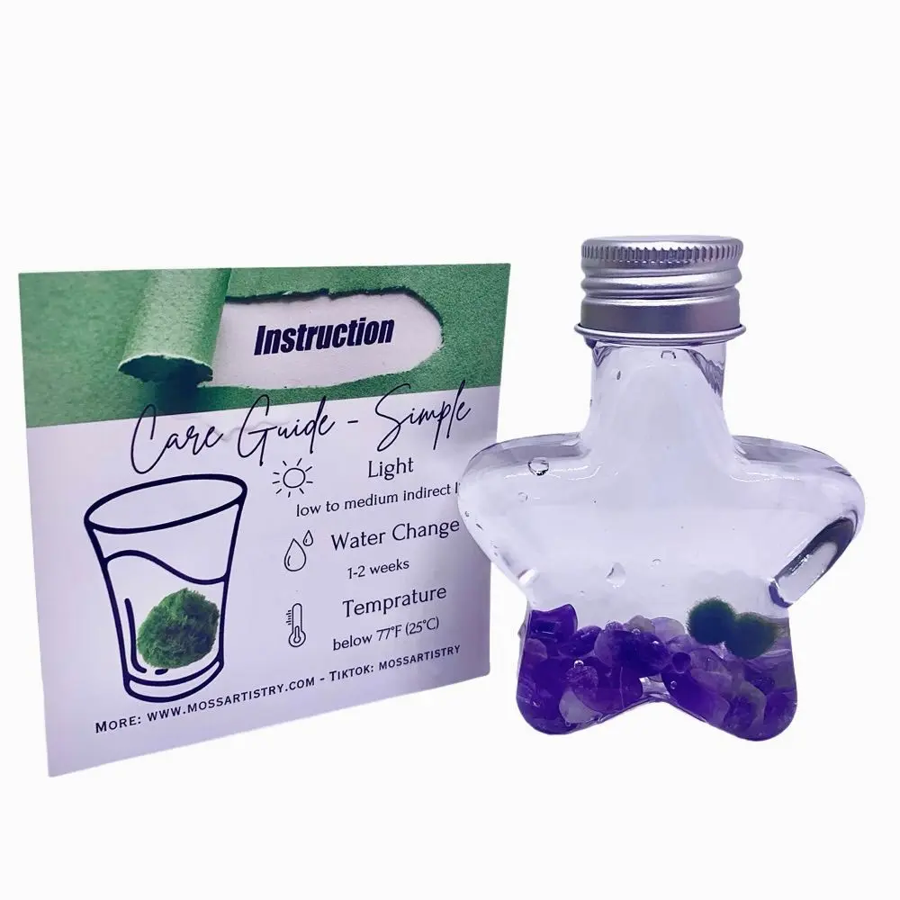 Back to School Gift Wish Star Live Marimo Moss Ball Natural Crystal Super Mini Plant Bottle Jar Gift Instruction included aquascape s pebbles floating plants aquatic plant aquarium plant