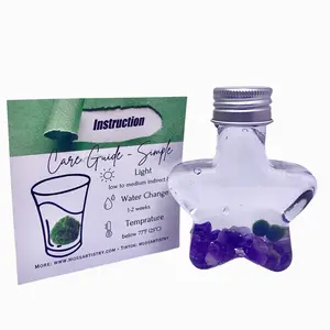 Back to School Gift Wish Star Live Marimo Moss Ball Natural Crystal Super Mini Plant Bottle Jar Gift Instruction included aquascape s pebbles floating plants aquatic plant aquarium plant