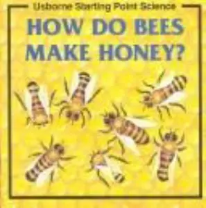 USED-How Do Bees Make Honey (Starting Point Science Series) by Anna Claybourne (Paperback)