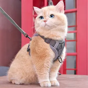 Adjustable Multi-Size Cat Harness-Leash Set, Nylon Fabric Anti-Escape Outdoor Tool with Secure Control and Trendy Design for Cat Walking,summervibes