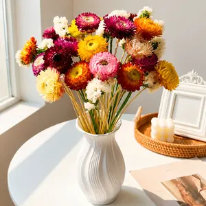 20+ Pcs Straw Flowers Daisy Dried Flowers with Stems, Dried Flower Bouquet for Vase, Spring Flowers Home Office Wedding Table Centerpiece Farmhouse DIY Decor