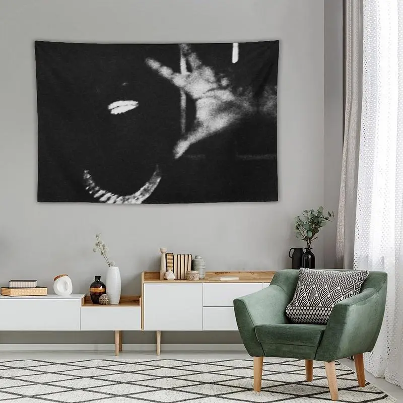 2026 Ken Star Carson Music Rock Band Singer Album Cover Flag - Polyester Tapestry with Grommets, Vintage Home Decor for Bedroom & Outdoor Parties, Gift Banner for Hanging bedroom decor leopard room decor anime room decor cheap bedroom decor tapestry